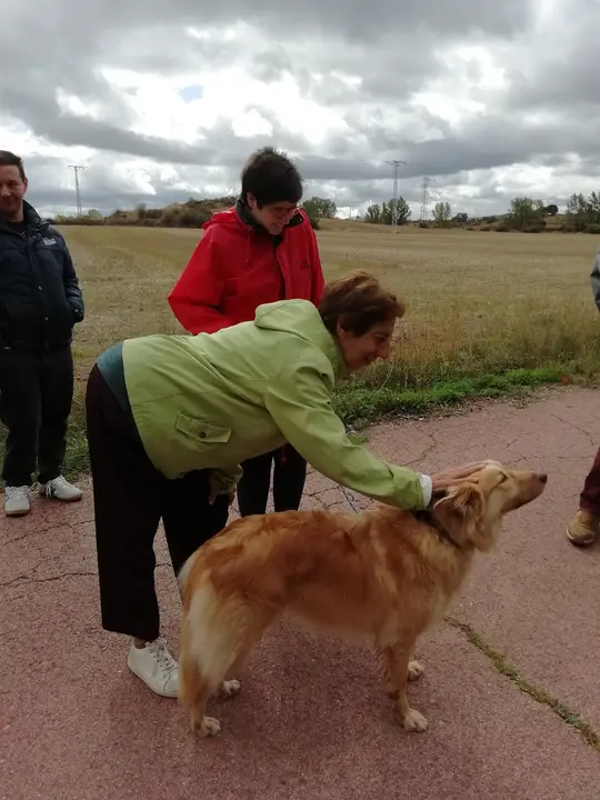 Miel El Perrito Adoptado Que Hace Felices A Los Chicos De ASPANIAS