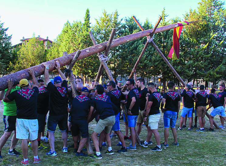 Pingada del Mayo en Abejar (Foto: Asociación el Navazo)