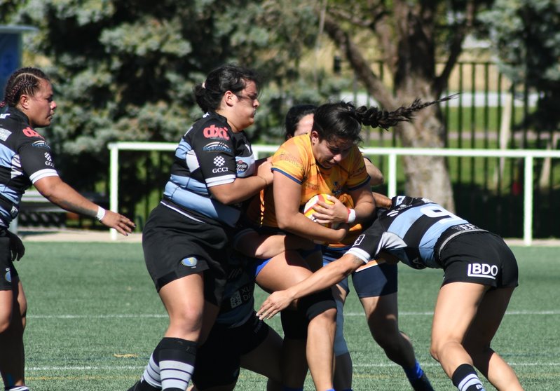 Pingüinas Rugby Burgos