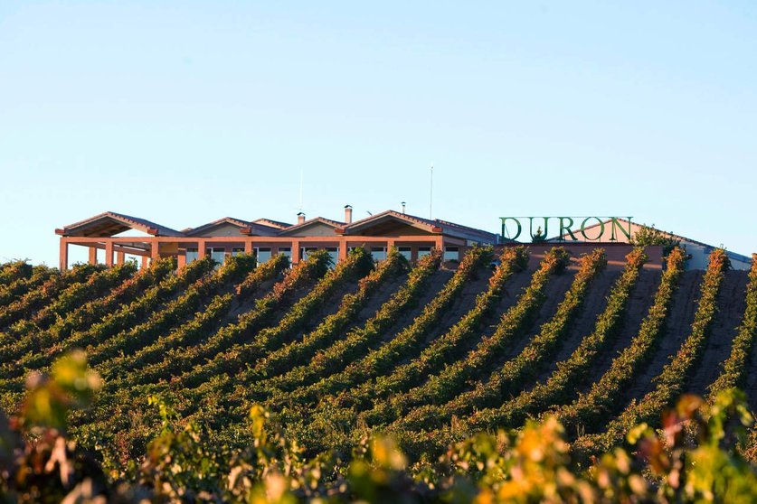  Bodegas Durón: Una de las mejores bodegas a visitar en Ribera del Duero 