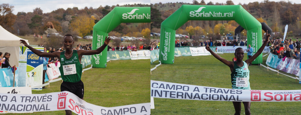 Campo a través internacional de Soria