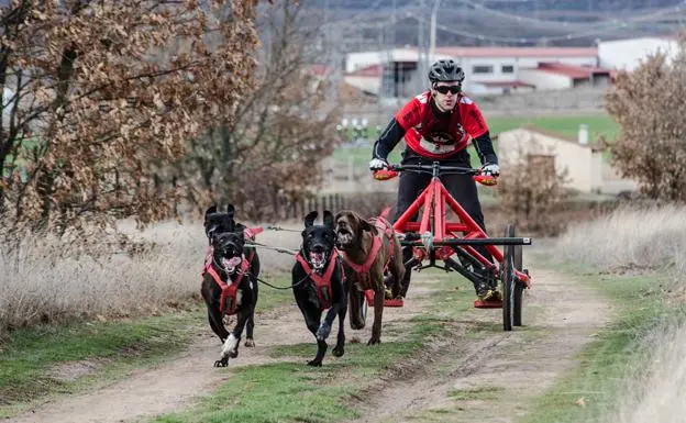 Deporte Salas