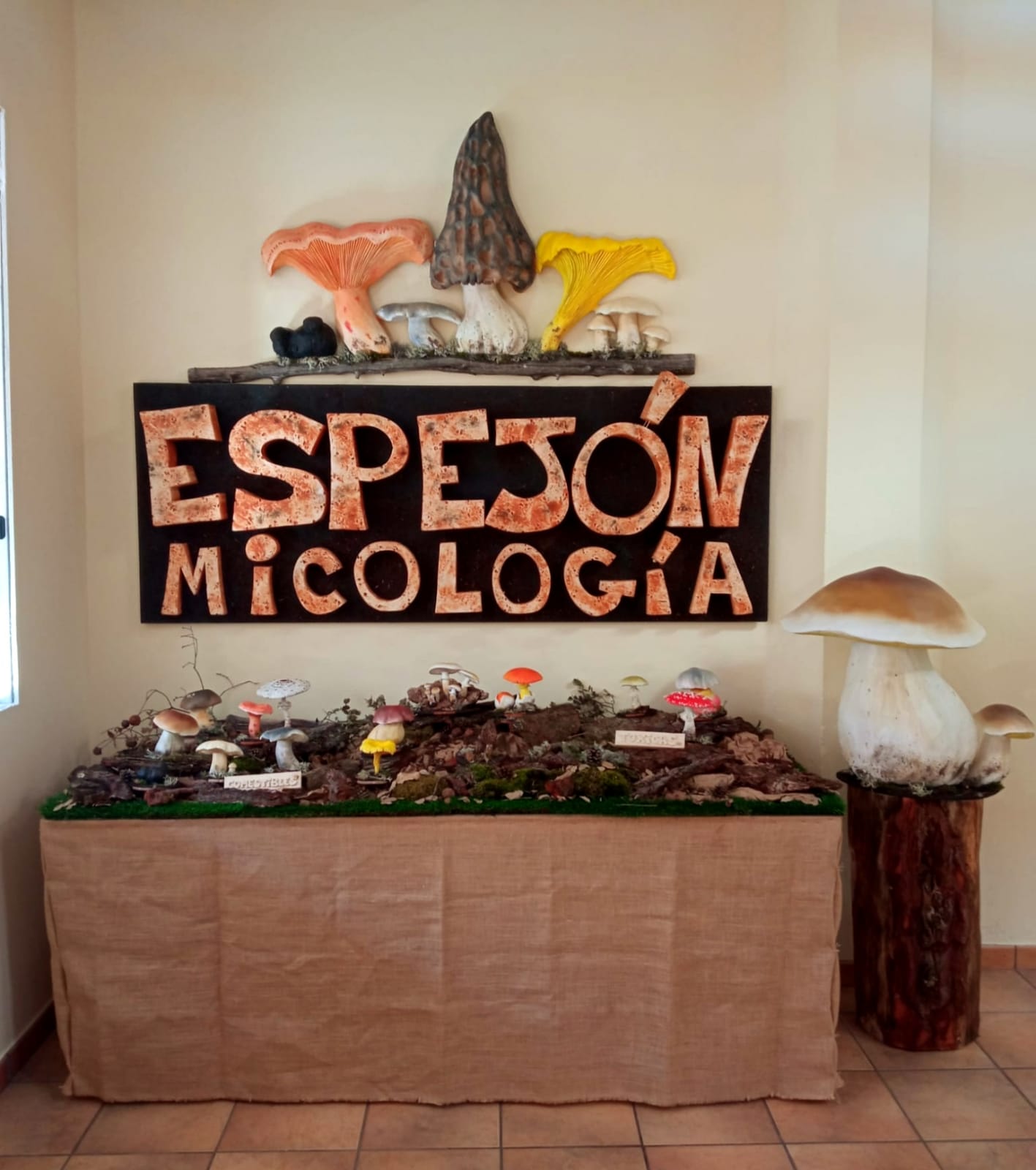 Espejón Micología